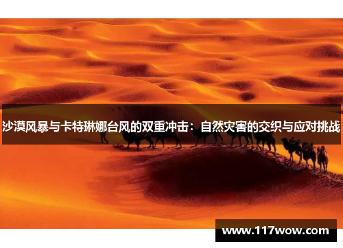 沙漠风暴与卡特琳娜台风的双重冲击:自然灾害的交织与应对挑战
